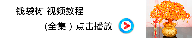 钱袋树.jpg
